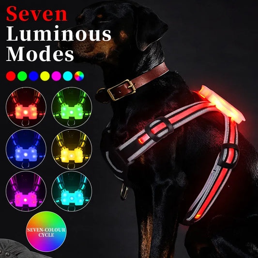LED Rechargeable Dog Harness